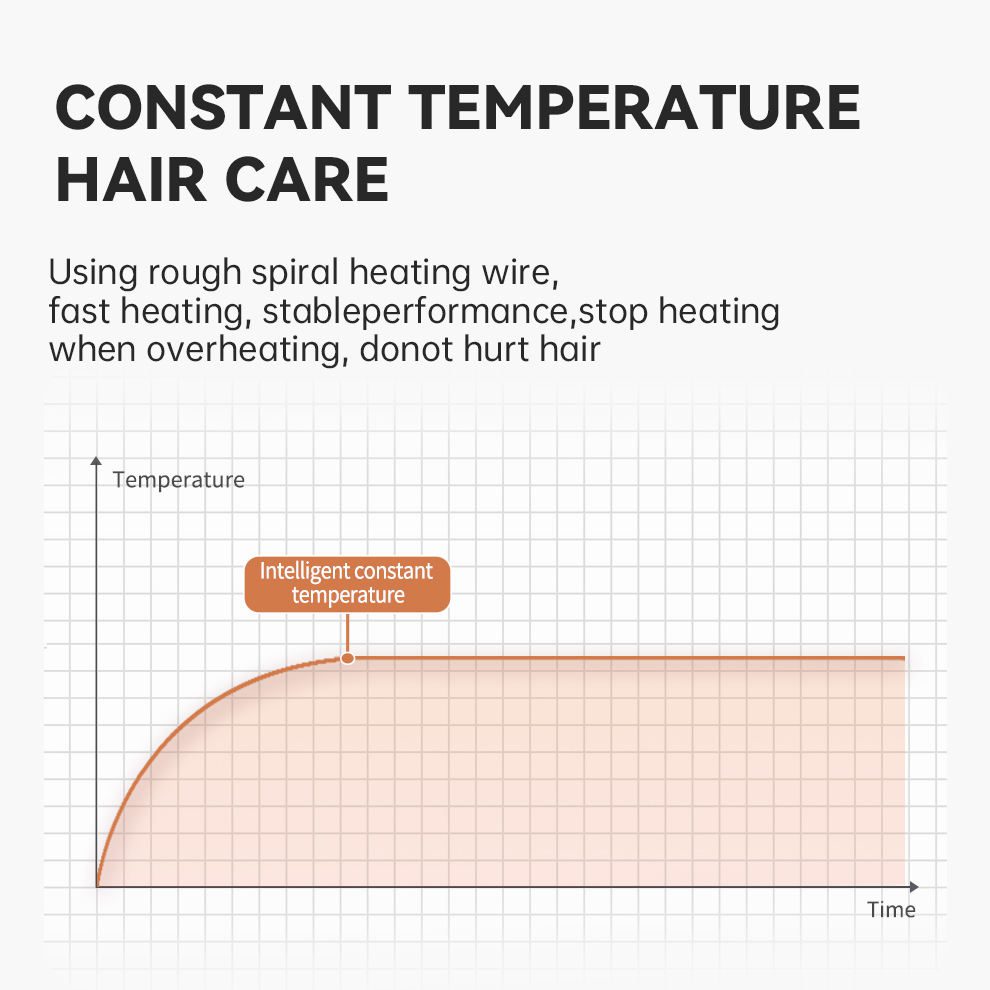 Sèche Cheveux Salon 2500 W - 3000 H Moteur Silencieux-